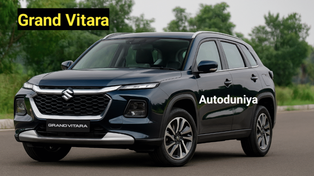Grand Vitara 2025